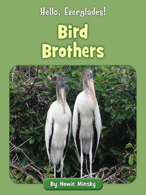 cover image of Bird Brothers